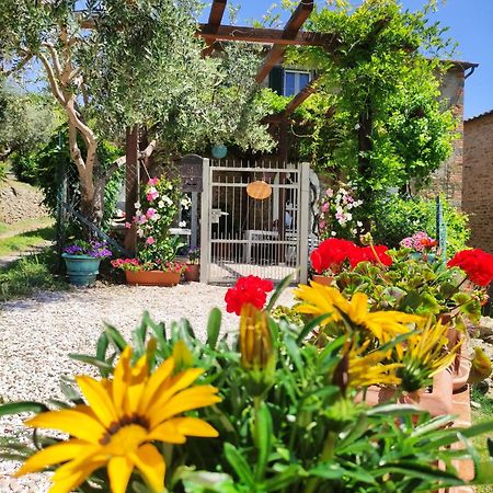 Private Stone Cottage With Starlink & Lake View Tuoro sul Trasimeno Exteriör bild
