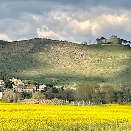 Private Stone Cottage With Starlink & Lake View Tuoro sul Trasimeno Exteriör bild