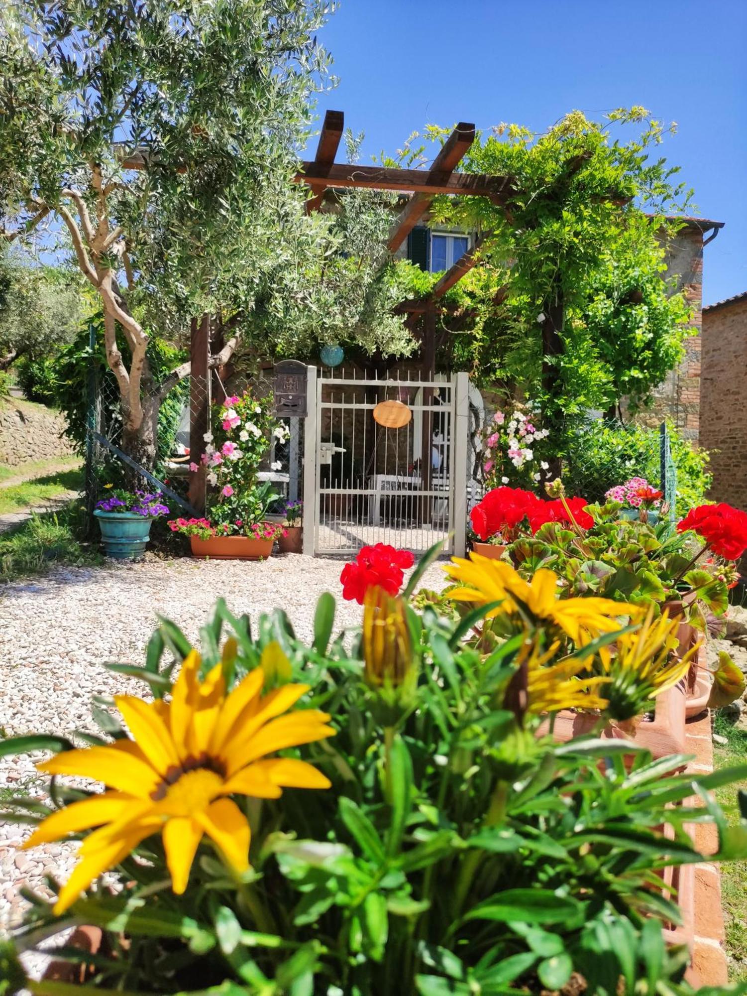 Private Stone Cottage With Starlink & Lake View Tuoro sul Trasimeno Exteriör bild
