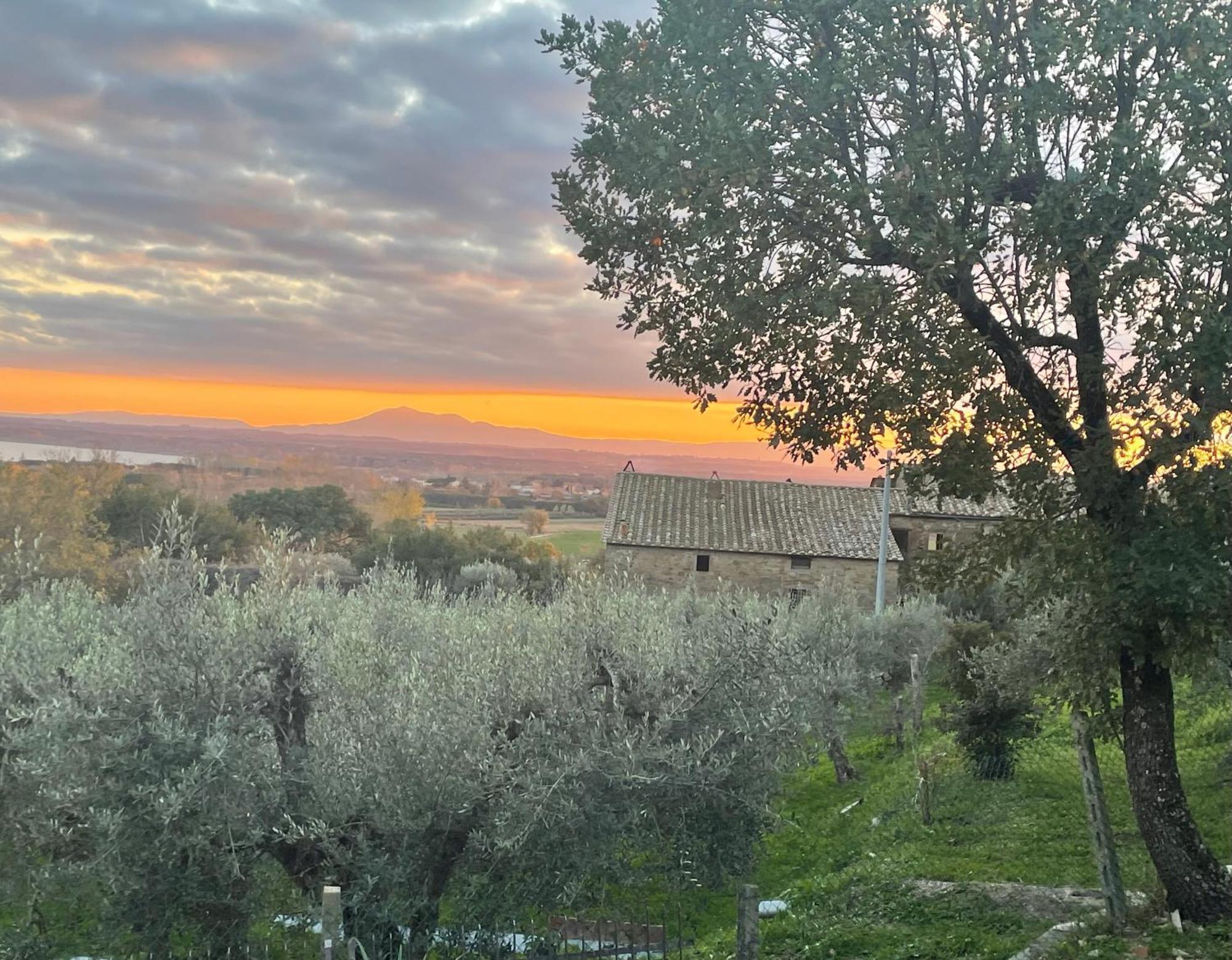 Private Stone Cottage With Starlink & Lake View Tuoro sul Trasimeno Exteriör bild