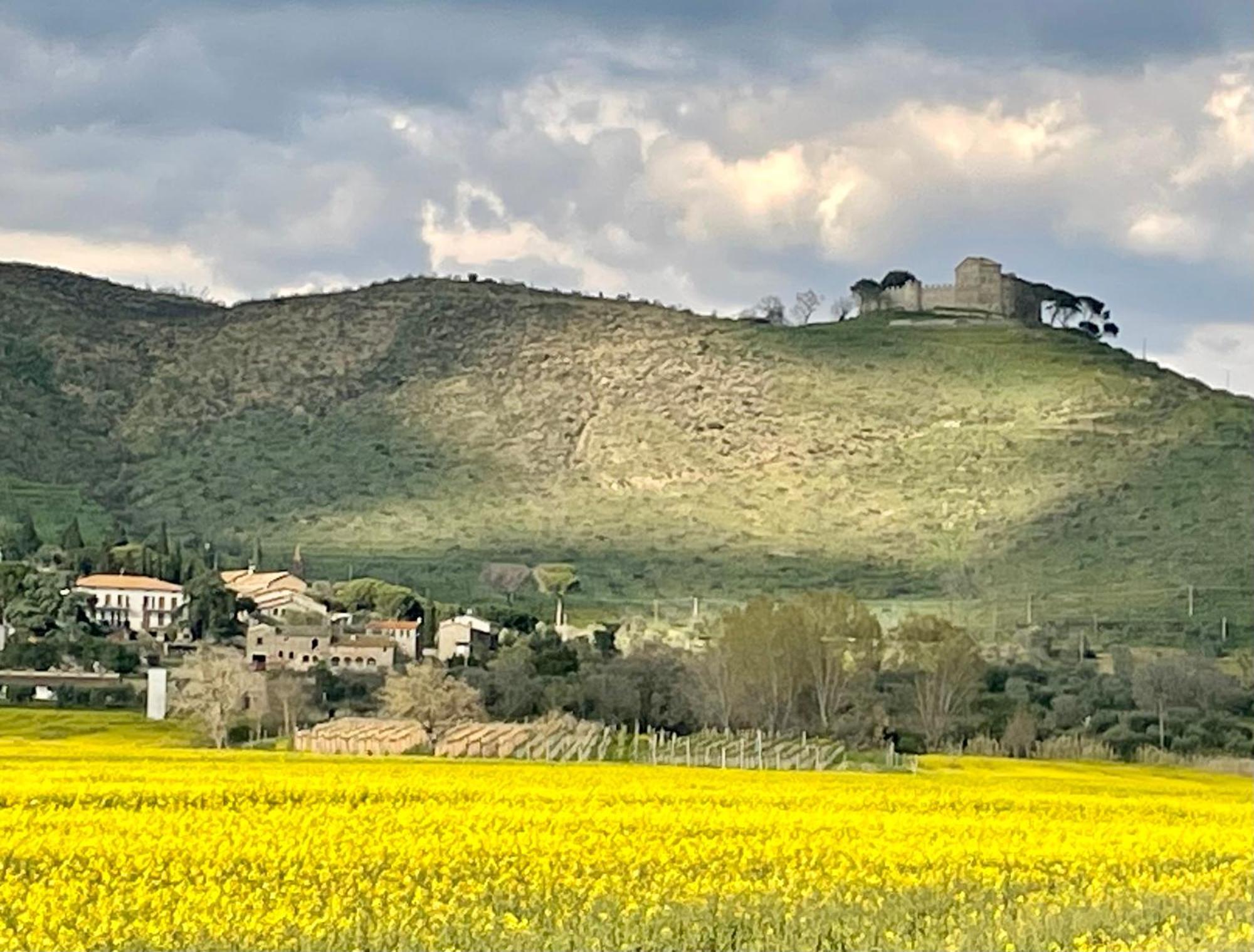 Private Stone Cottage With Starlink & Lake View Tuoro sul Trasimeno Exteriör bild