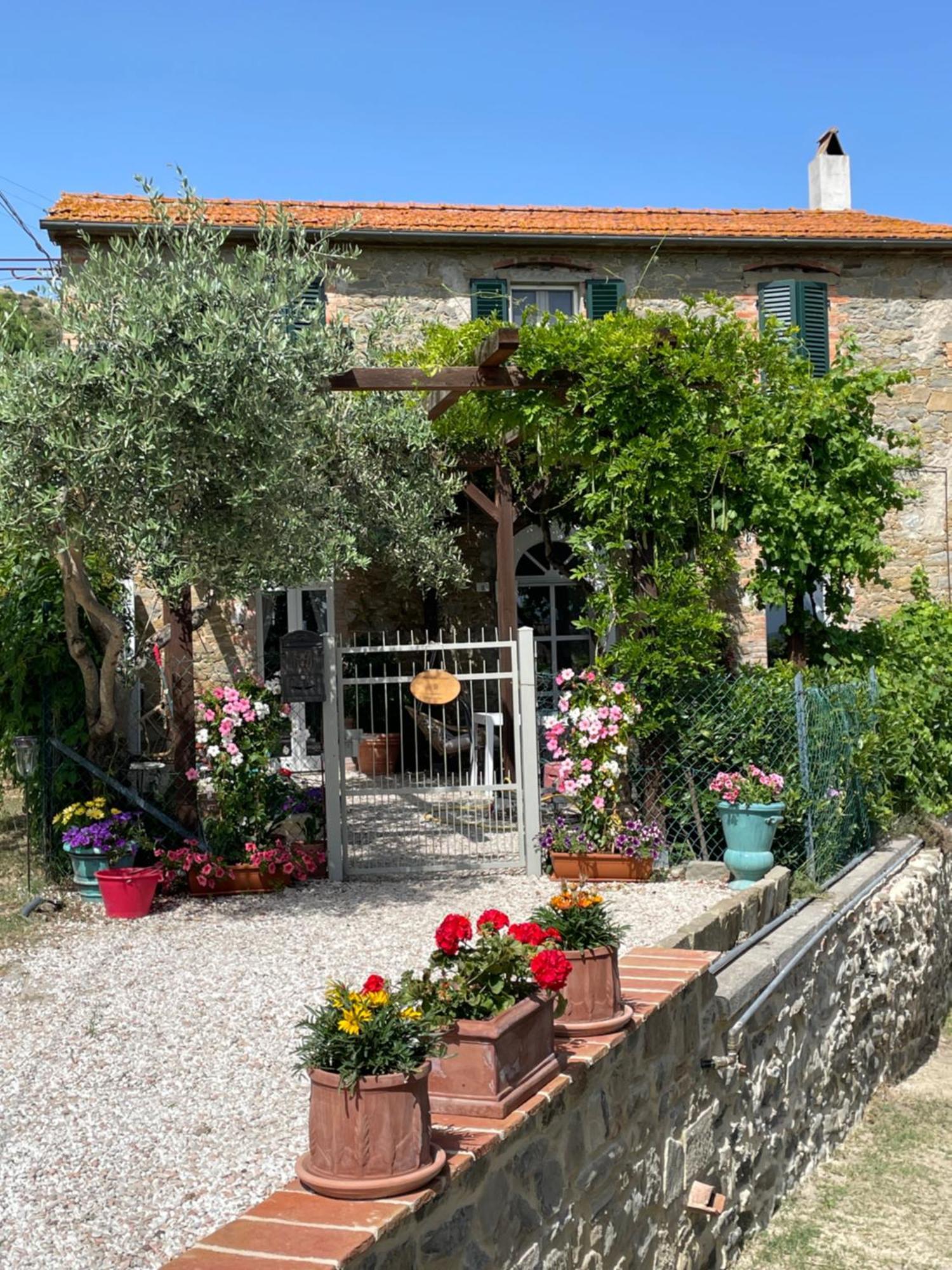 Private Stone Cottage With Starlink & Lake View Tuoro sul Trasimeno Exteriör bild